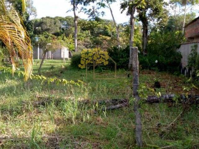 Terreno para Venda em Itanhaém - 1