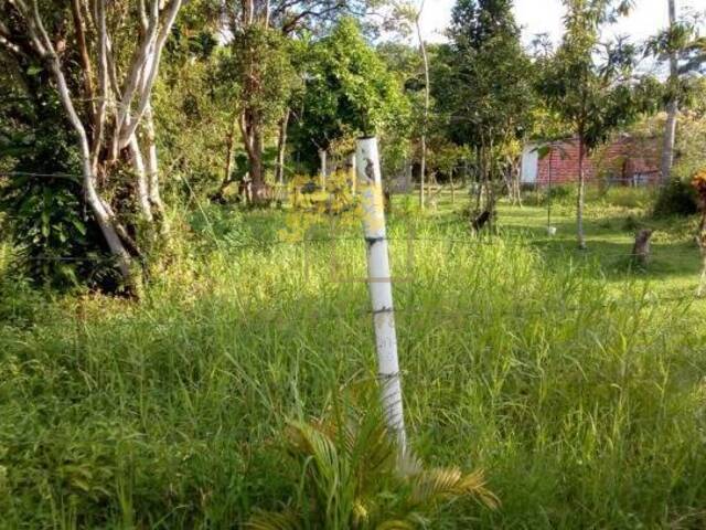 Terreno para Venda em Itanhaém - 2