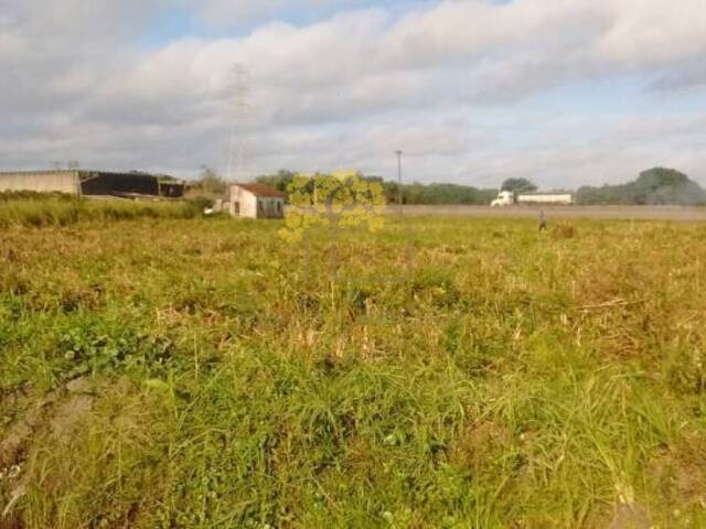 #661 - Terreno para Venda em Itanhaém - SP - 2