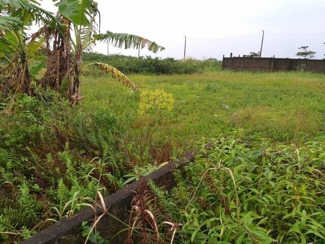 Terreno para Venda em Itanhaém - 4