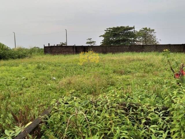 Terreno para Venda em Itanhaém - 2