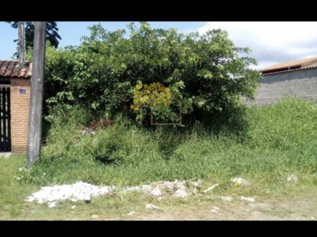 Terreno para Venda em Itanhaém - 2