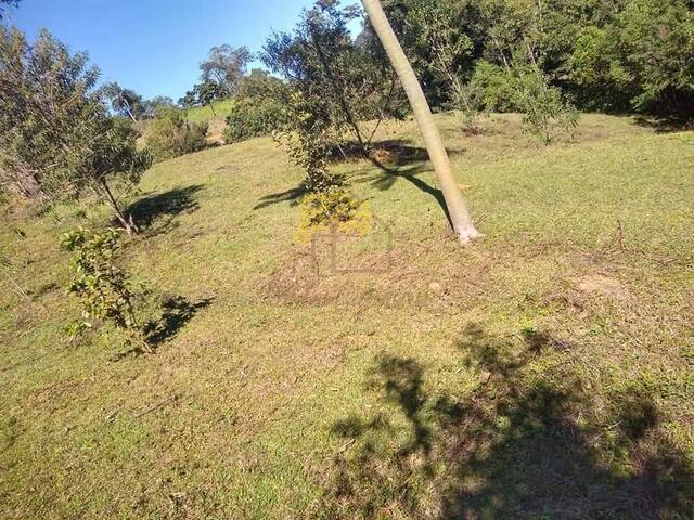 Sítio para Venda em São José dos Campos - 3