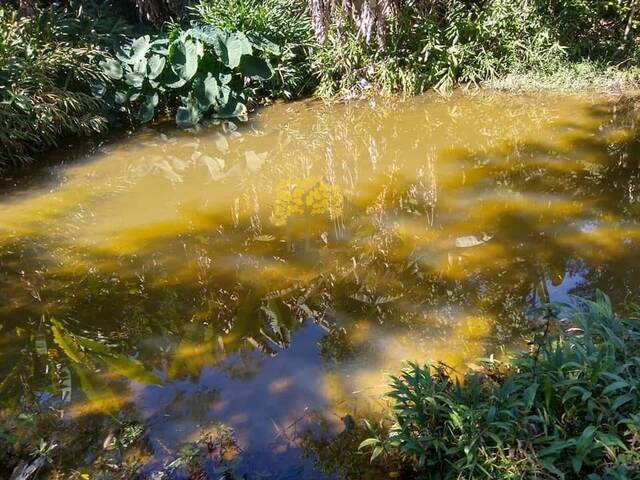 Sítio para Venda em São José dos Campos - 5