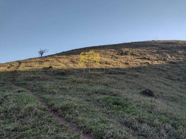 Sítio para Venda em São José dos Campos - 5