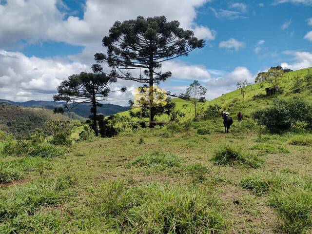 Terreno para Venda em São José dos Campos - 1