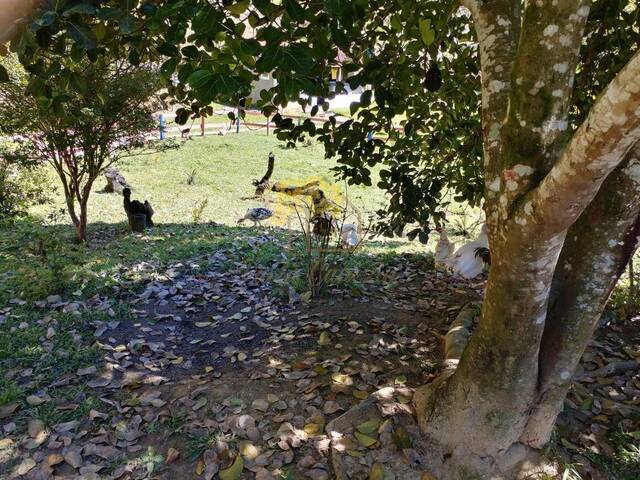 Chácara para Venda em São José dos Campos - 2