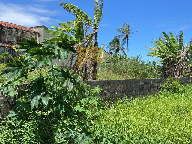 Terreno para Venda em Itanhaém - 2