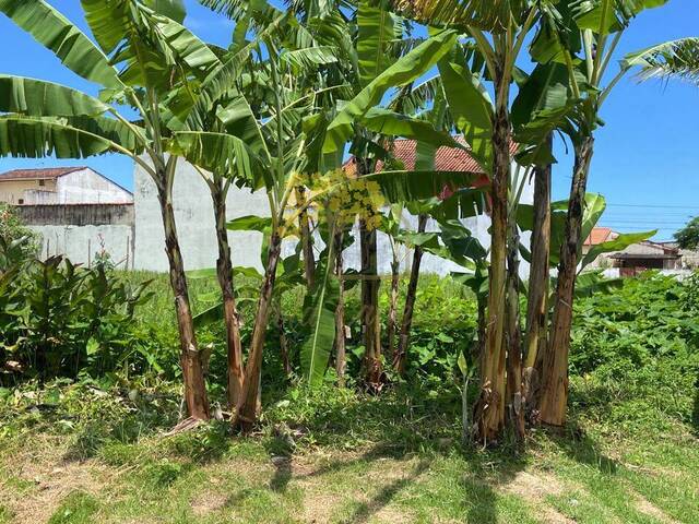 Terreno para Venda em Itanhaém - 1