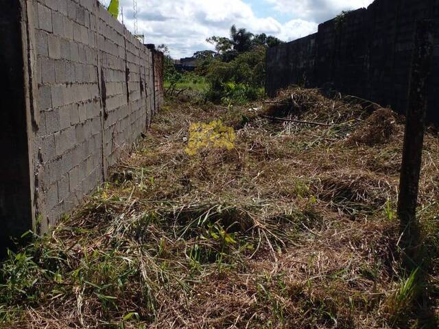 Terreno para Venda em Itanhaém - 2