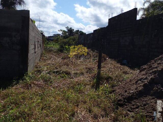 #1333 - Terreno para Venda em Itanhaém - SP - 1