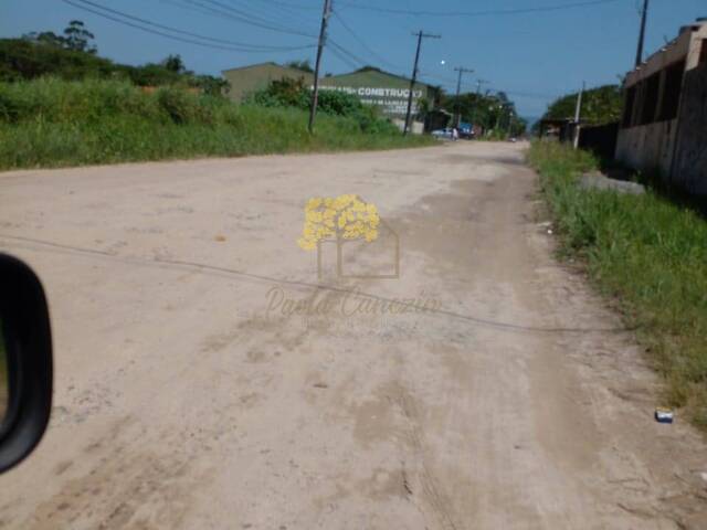 Terreno para Venda em Itanhaém - 4