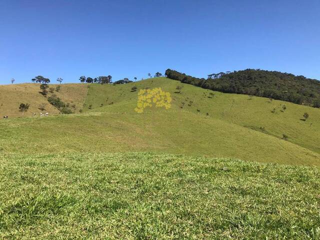 Sítio para Venda em Sapucaí-Mirim - 1