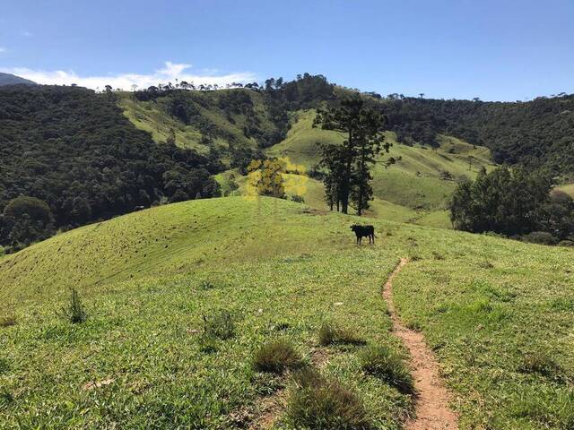 Sítio para Venda em Sapucaí-Mirim - 2