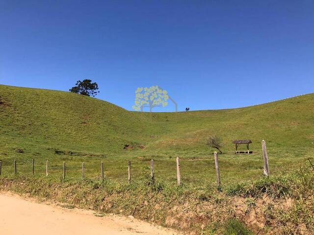 Sítio para Venda em Sapucaí-Mirim - 5