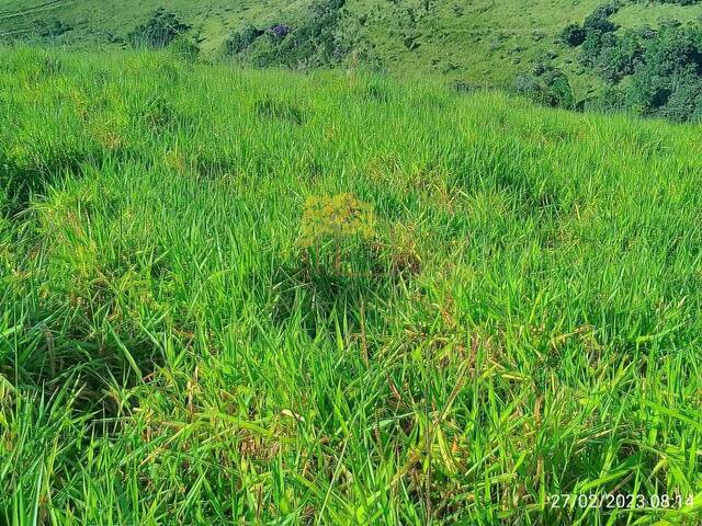 Terreno para Venda em Monteiro Lobato - 5