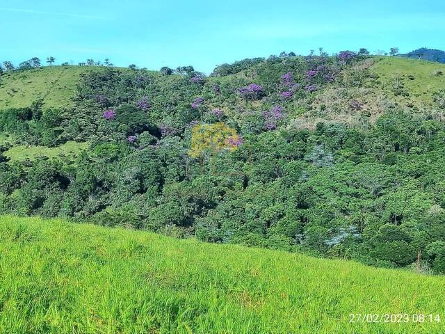 Terreno para Venda em Monteiro Lobato - 4