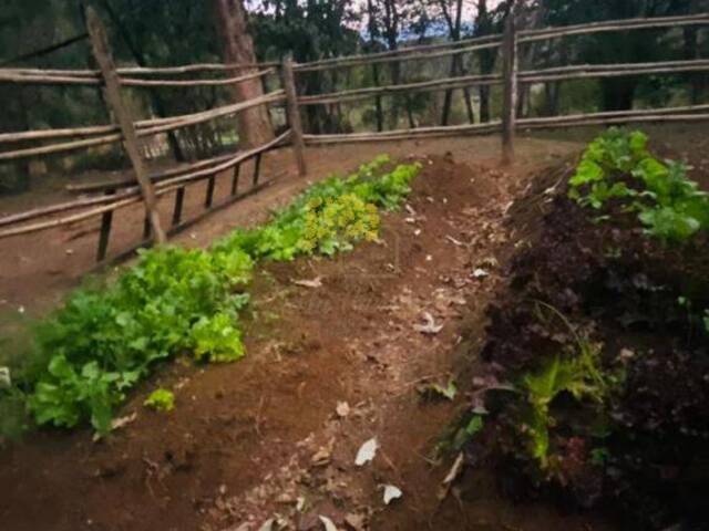 #1401 - Sítio para Venda em São José dos Campos - SP - 3