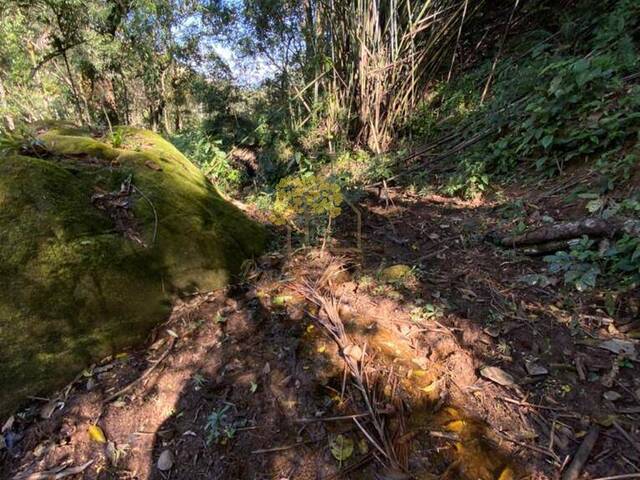 Sítio para Venda em São José dos Campos - 2