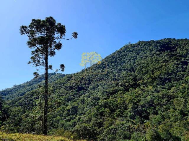 #1410 - Chácara para Venda em São José dos Campos - SP - 3