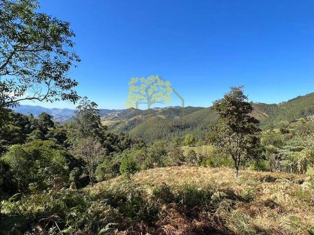 Sítio para Venda em São José dos Campos - 3