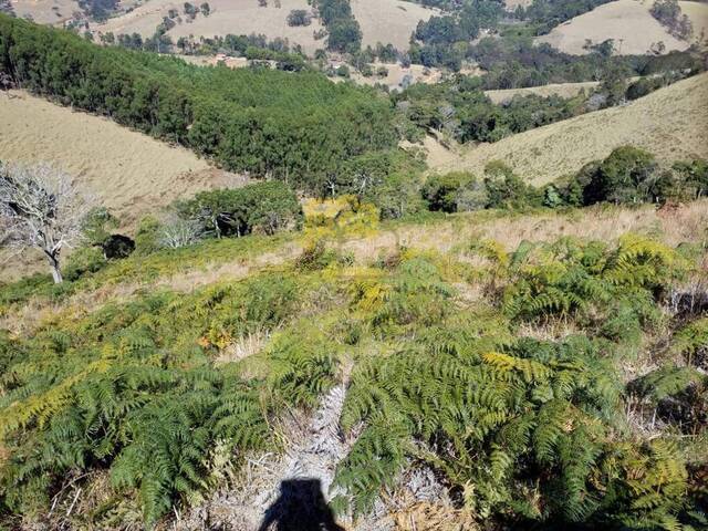 Terreno para Venda em Gonçalves - 3