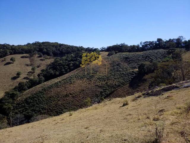 Terreno para Venda em Gonçalves - 4