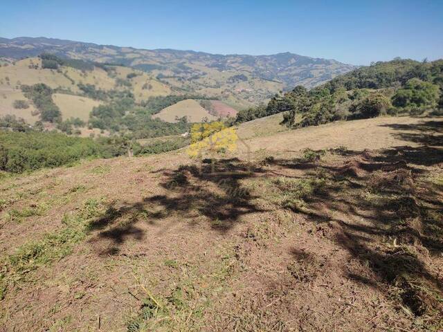 Venda em centro - Gonçalves