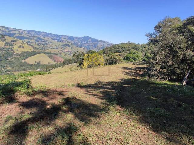 Terreno para Venda em Gonçalves - 5