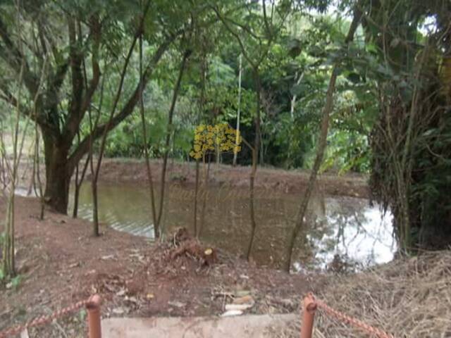 Sítio para Venda em Monteiro Lobato - 4