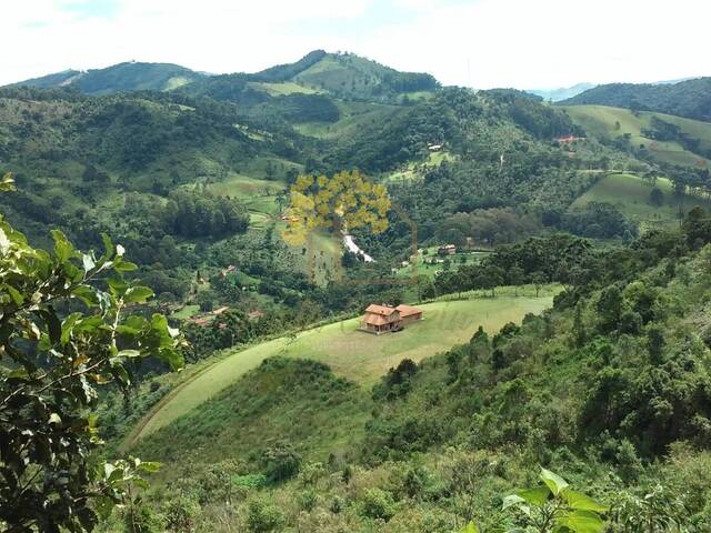 #1572 - Chácara para Venda em Gonçalves - MG - 1