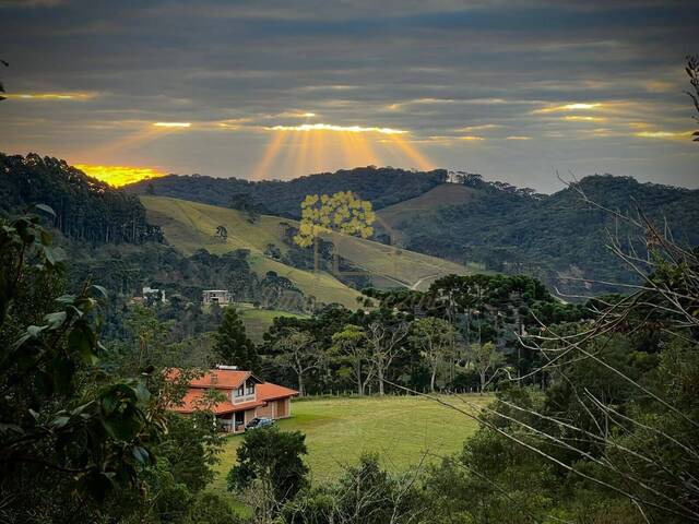 Chácara para Venda em Gonçalves - 4