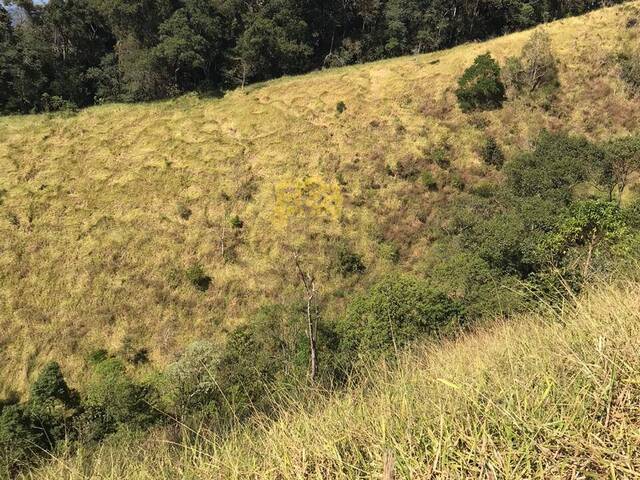 Sítio para Venda em São José dos Campos - 5