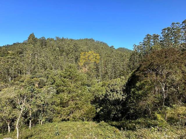 Área para Venda em São José dos Campos - 5