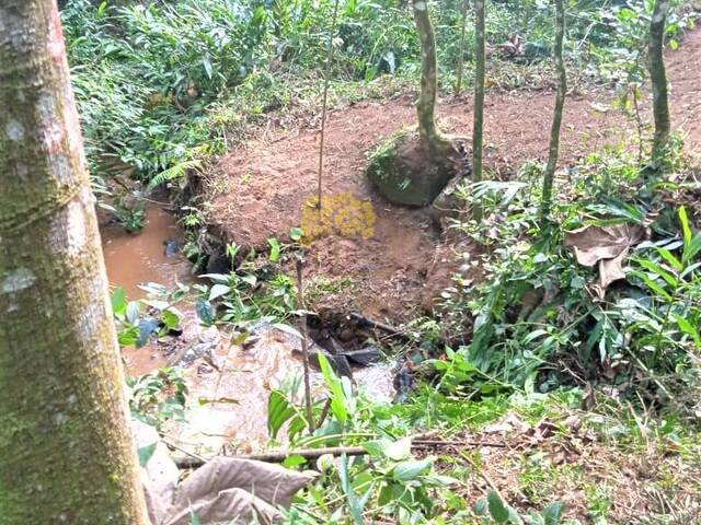 Fazenda para Venda em São José dos Campos - 3