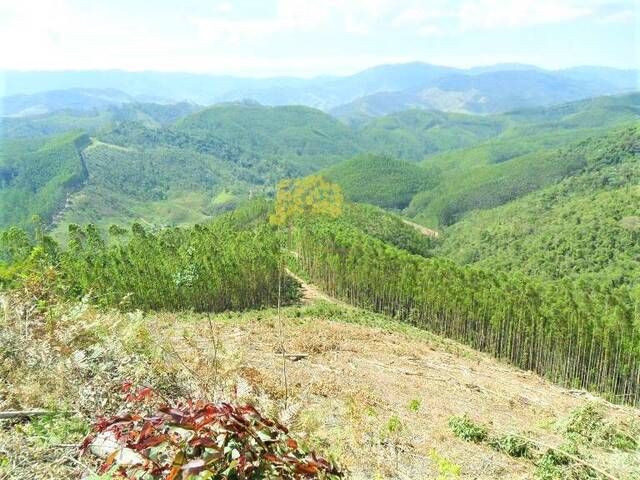 #1675 - Fazenda para Venda em São José dos Campos - SP - 1