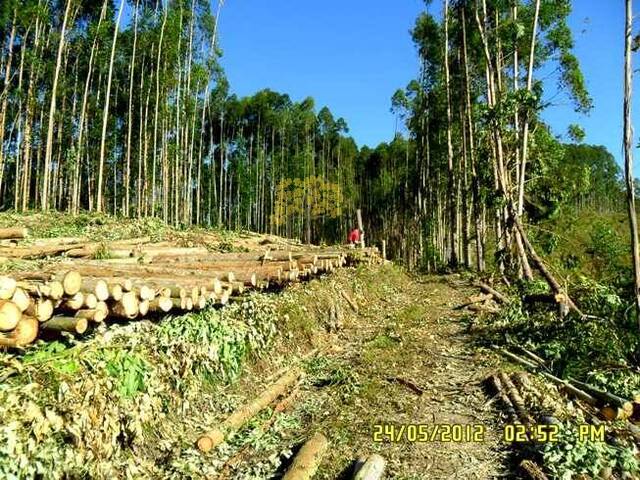 Fazenda para Venda em São José dos Campos - 5