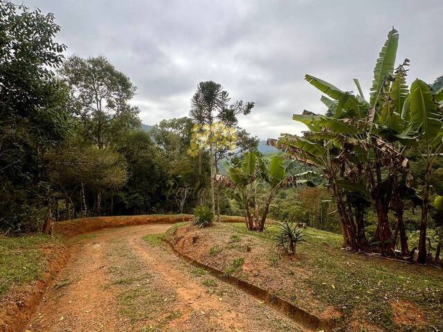 Sítio para Venda em São José dos Campos - 5