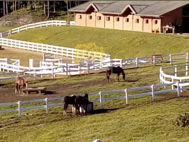 #1687 - Fazenda para Venda em Sapucaí-Mirim - MG - 3