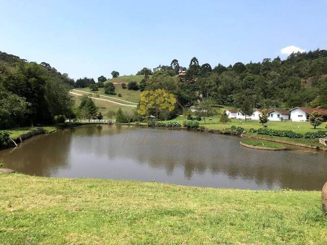 Fazenda para Venda em Sapucaí-Mirim - 4