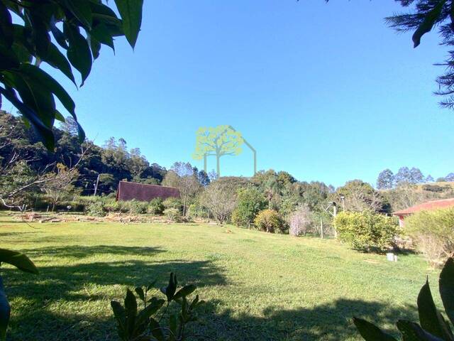 #1702 - Área para Venda em Santo Antônio do Pinhal - SP - 2