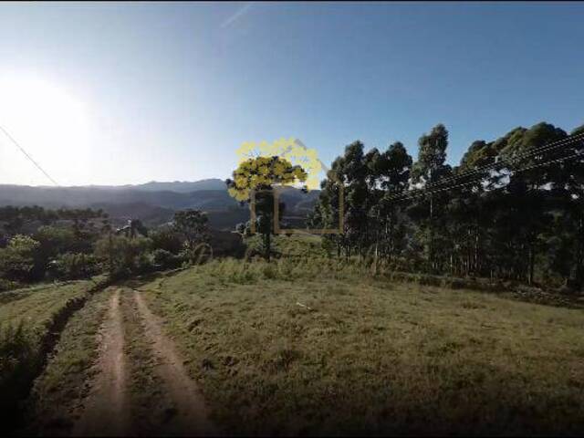 #1711 - Área para Venda em Camanducaia - MG - 3