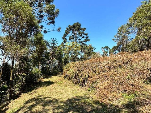 Área para Venda em São José dos Campos - 1