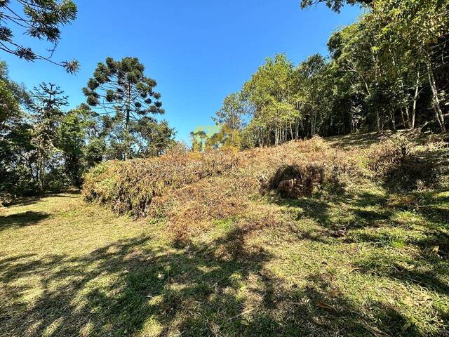 Área para Venda em São José dos Campos - 2