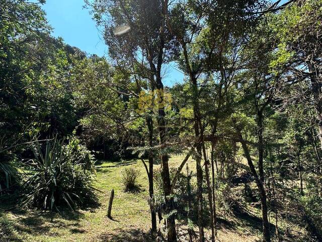 Área para Venda em São José dos Campos - 4