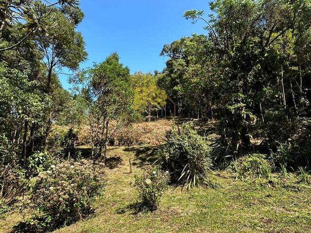 Área para Venda em São José dos Campos - 5