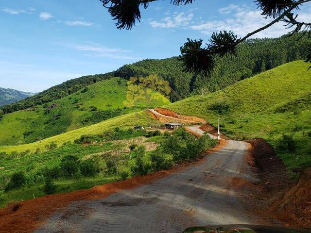 Área para Venda em Gonçalves - 3