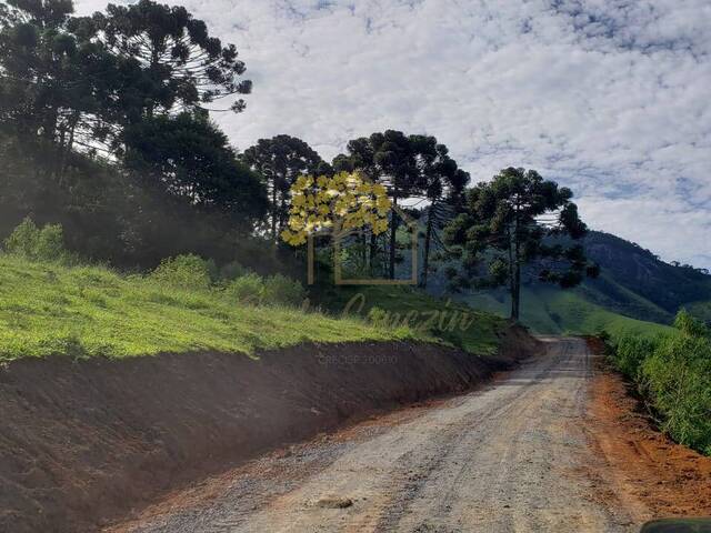 Área para Venda em Gonçalves - 2