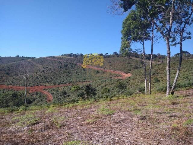 Área para Venda em São José dos Campos - 1