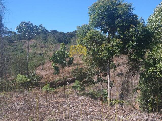 Área para Venda em São José dos Campos - 5